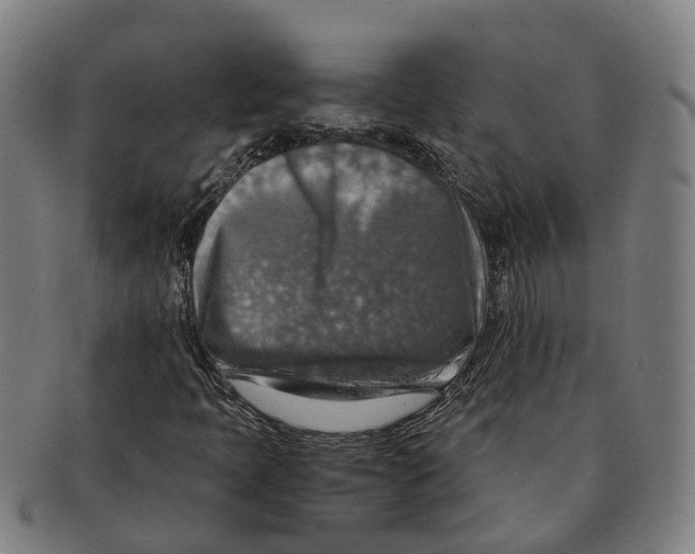 X0000091011397200708301346