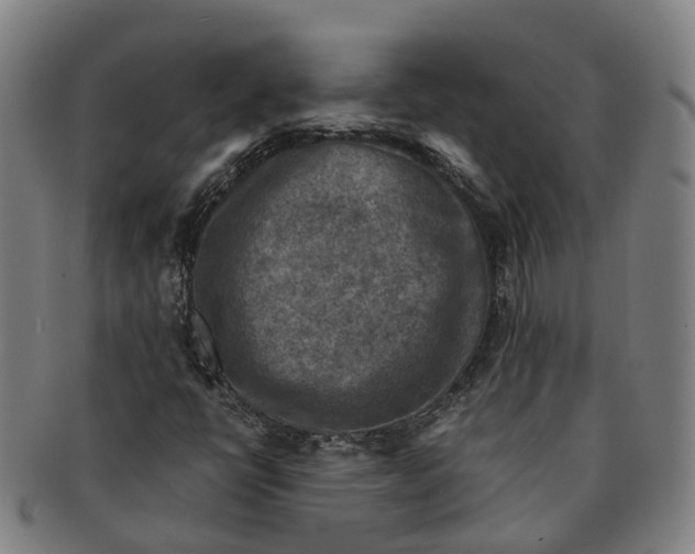 X0000091011398200708301346