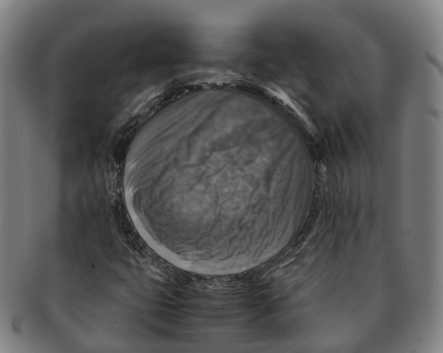 X0000091011399200708301346