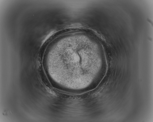 X0000091011400200708301346