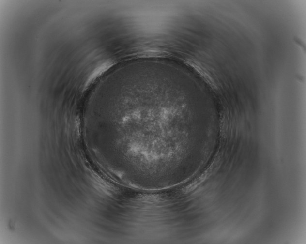 X0000091011402200708301346