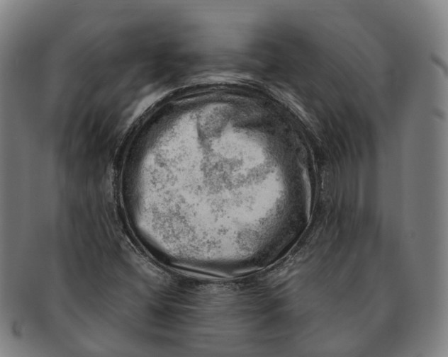 X0000091011404200708301346