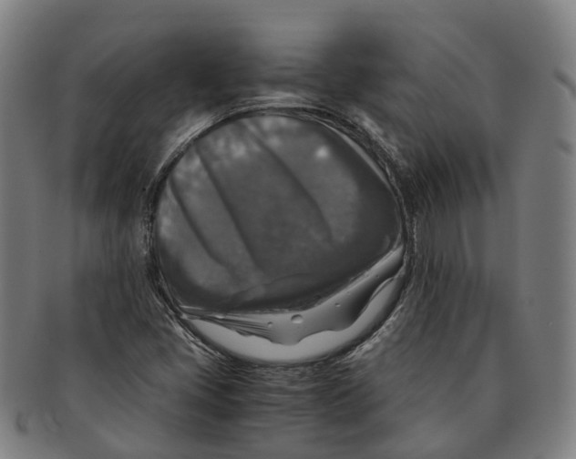 X0000091011405200708301346