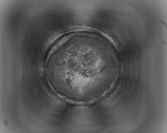 X0000091011407200708301346