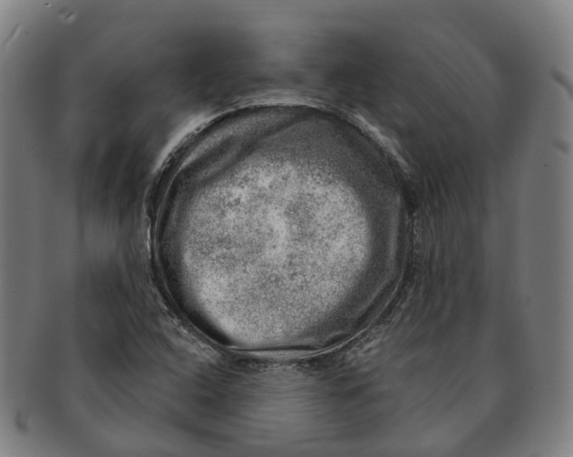 X0000091011408200708301346