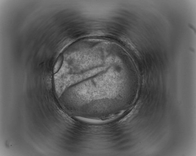 X0000091011409200708301346