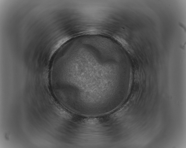 X0000091011410200708301346