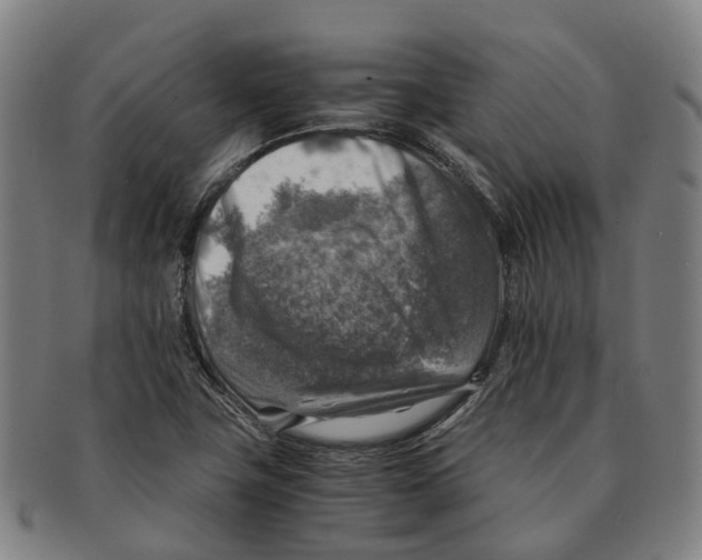 X0000091011411200708301346