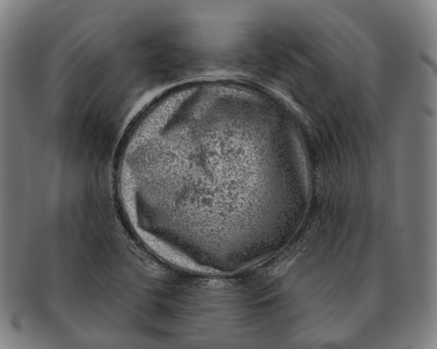 X0000091011412200708301346