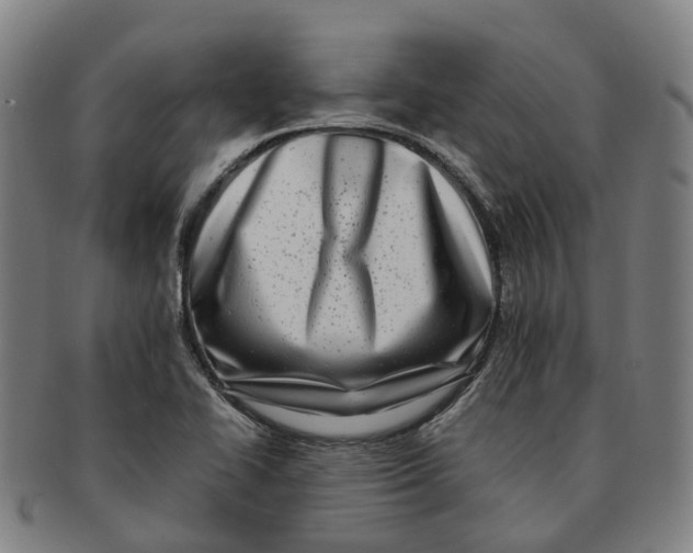 X0000091011414200708301346