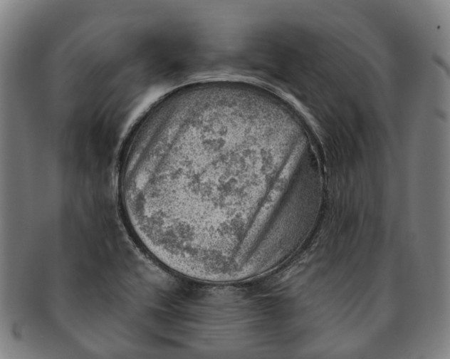 X0000091011416200708301346