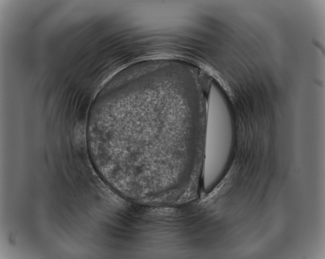 X0000091011417200708301346