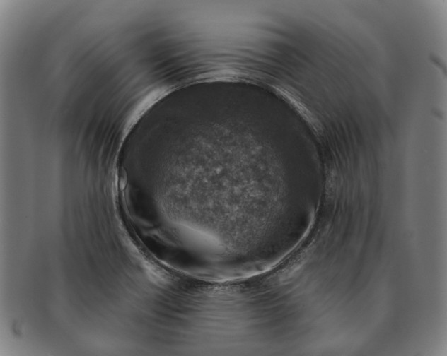 X0000091011418200708301346