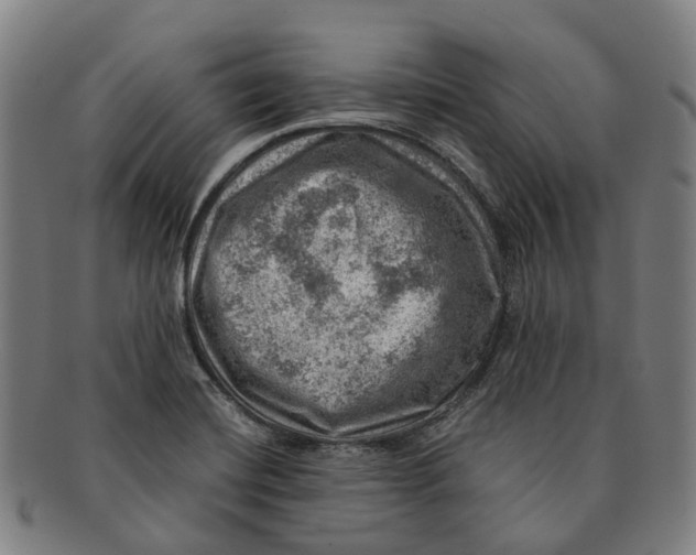 X0000091011420200708301346