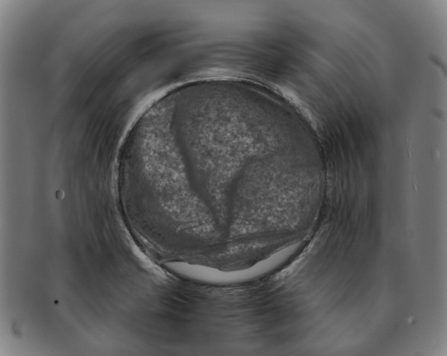 X0000091011421200708301346