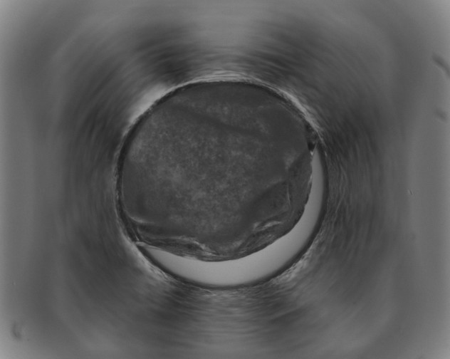 X0000091011422200708301347