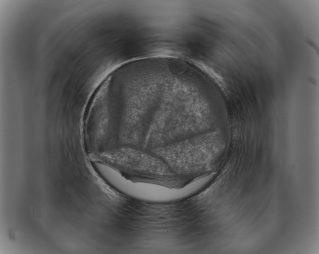 X0000091011423200708301347