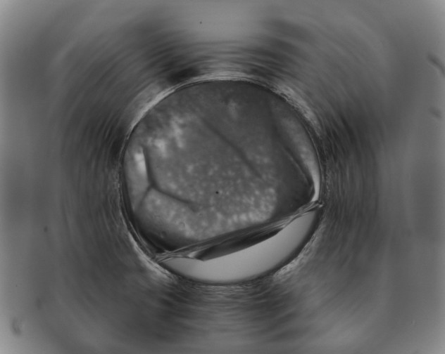 X0000091011425200708301347