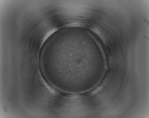 X0000091011426200708301347