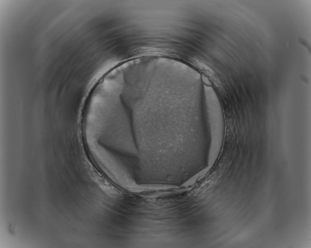 X0000091011427200708301347