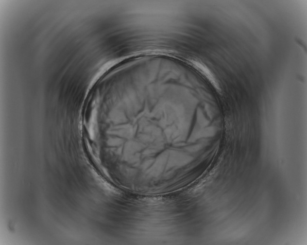 X0000091011428200708301347