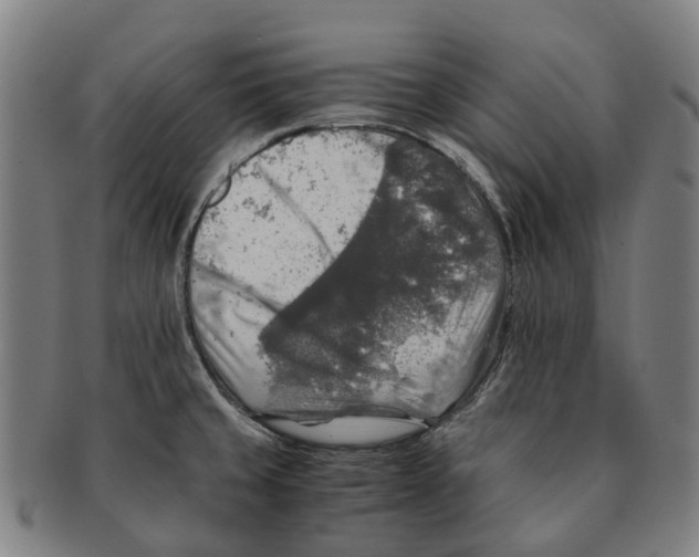 X0000091011429200708301347