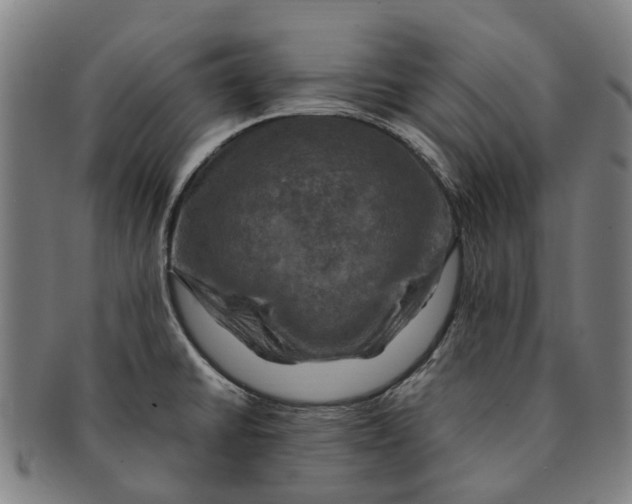 X0000091011430200708301347