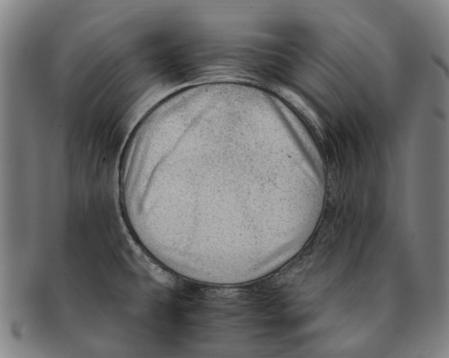 X0000091011431200708301347