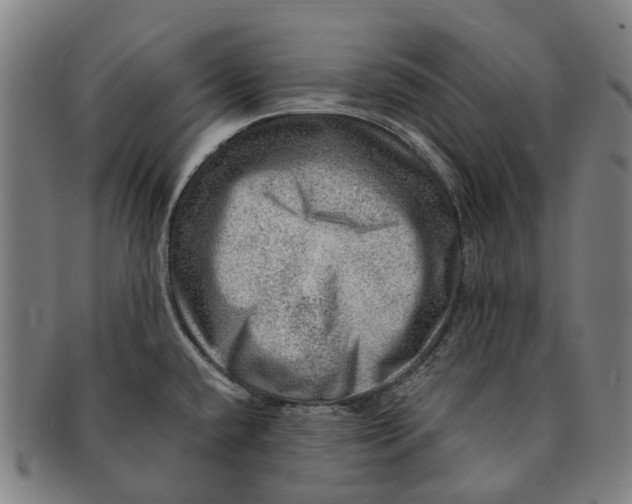 X0000091011432200708301347