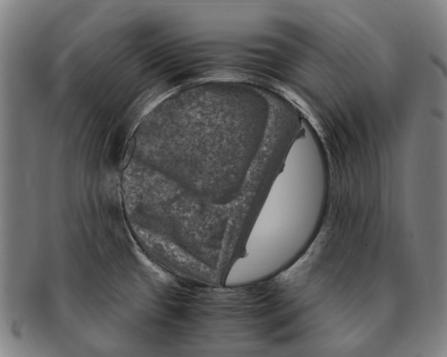 X0000091011433200708301347