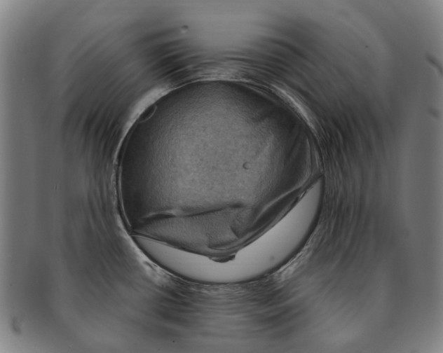 X0000091011434200708301347