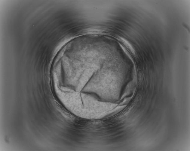 X0000091011435200708301347