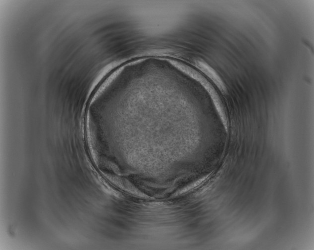 X0000091011436200708301347