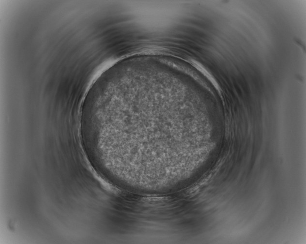 X0000091011437200708301347