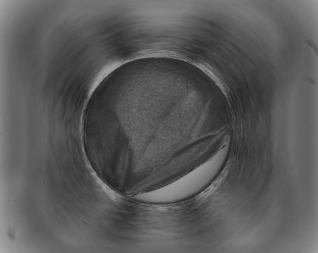 X0000091011438200708301347