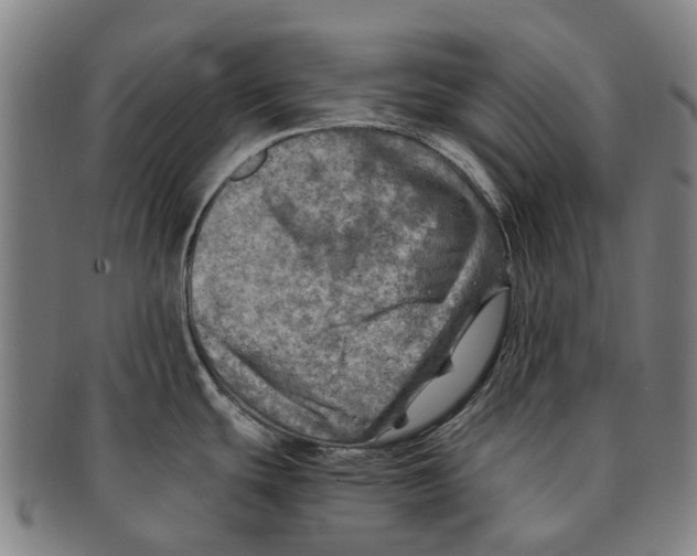 X0000091011439200708301347