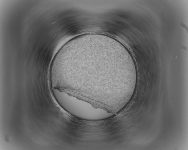 X0000091011440200708301347