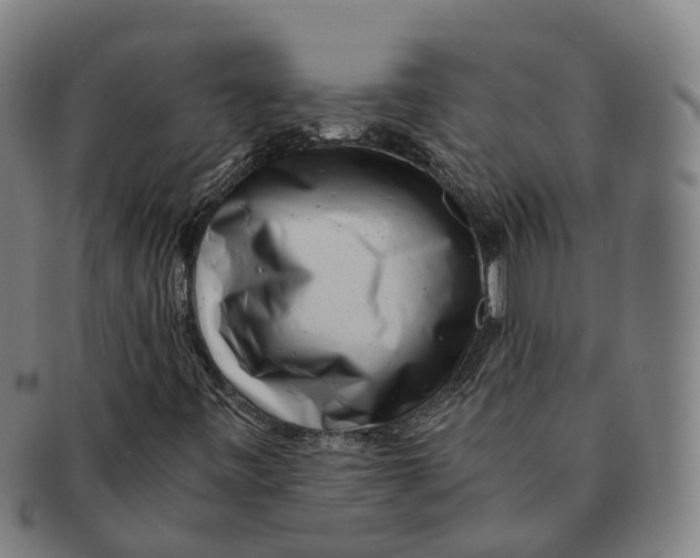 X0000091011443200708301346