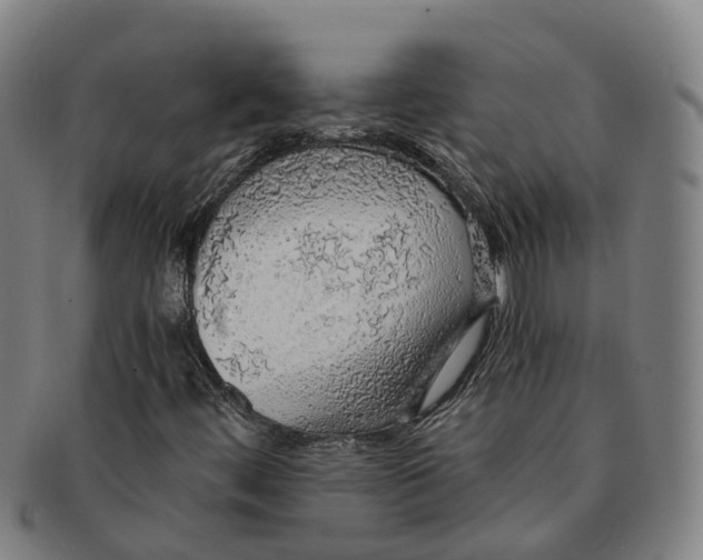 X0000091011444200708301346