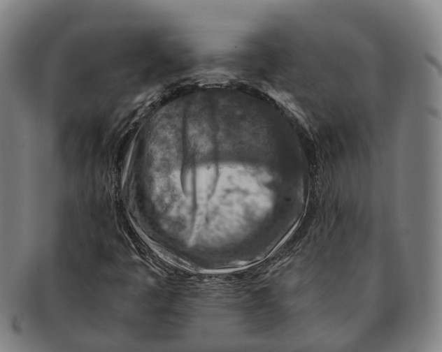 X0000091011445200708301346