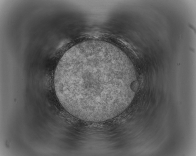 X0000091011446200708301346