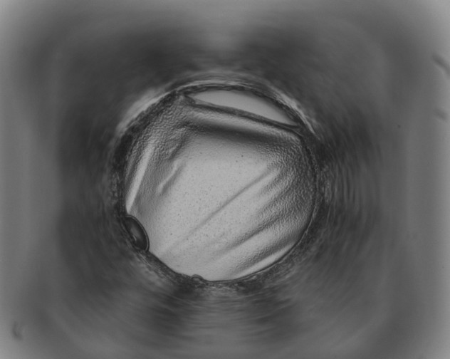 X0000091011448200708301346