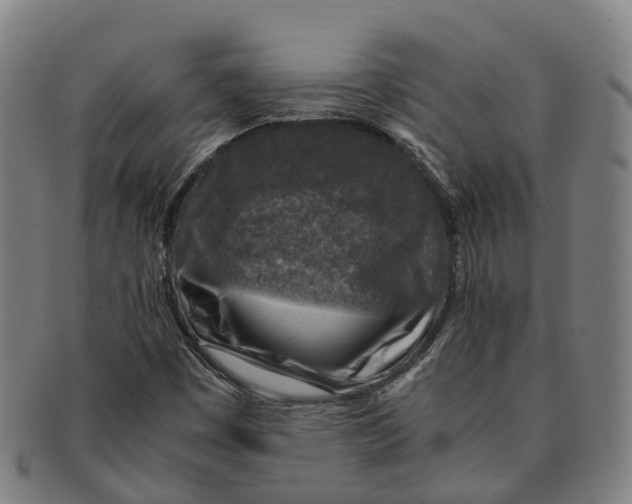 X0000091011449200708301346