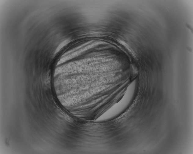 X0000091011450200708301346