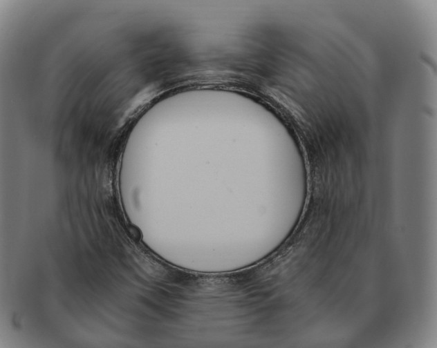 X0000091011451200708301346