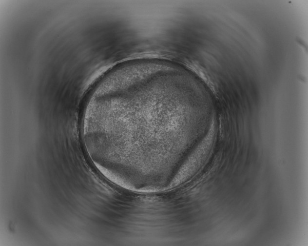 X0000091011452200708301346