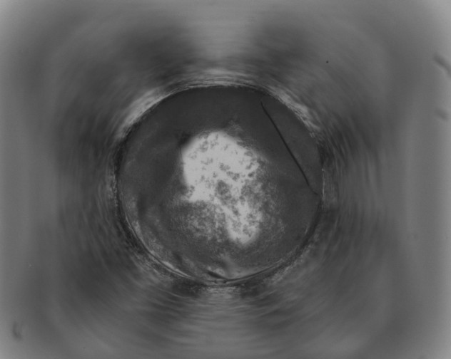 X0000091011453200708301346