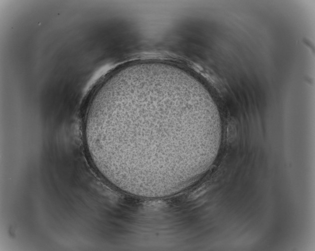 X0000091011454200708301346