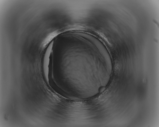 X0000091011455200708301346