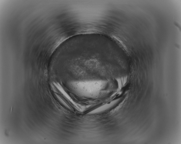 X0000091011457200708301346